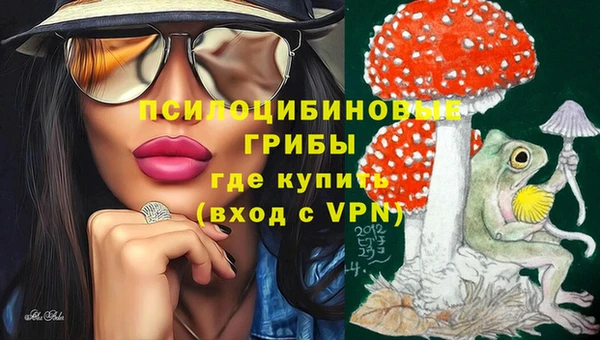бутират Сосновоборск