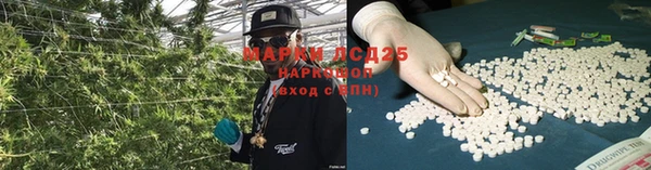 спиды Волосово